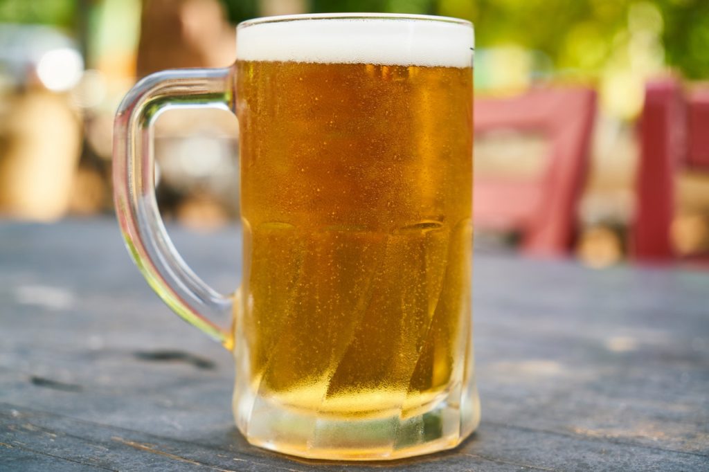 Jakie Piwo Można Uwarzyć z Chmielem Lubelskim